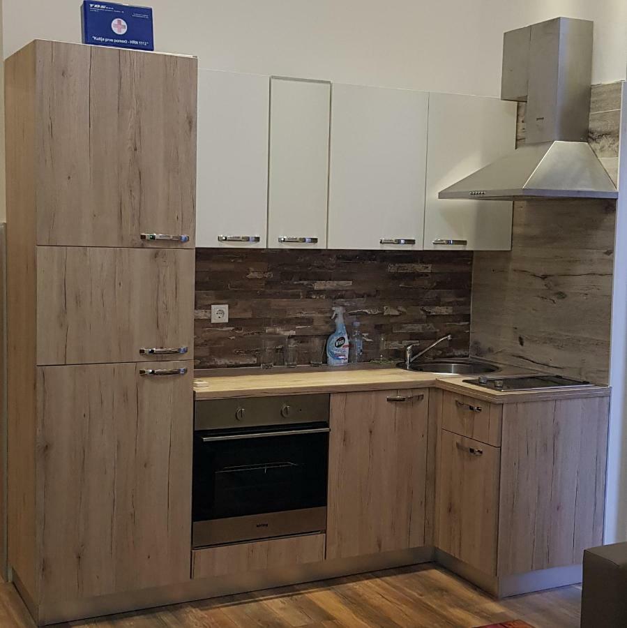 Apartment Center Near Main Square Zagreb